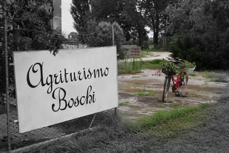 Agriturismo Boschi Villa Reggiolo Dış mekan fotoğraf